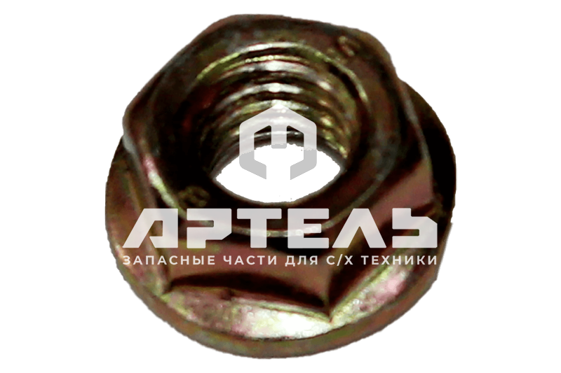 13961.07 Гайка М6